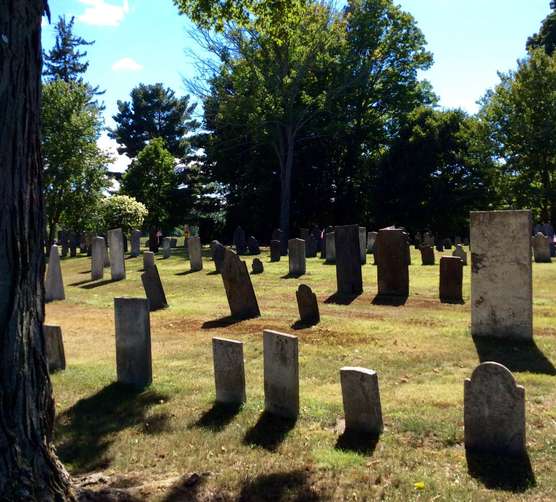 The Descendants of Lt. Samuel & Elizabeth Smith